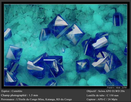 Cornetite<br />L'Etoile du Congo Mine, Lubumbashi (Elizabethville), Katanga Copper Crescent, Haut-Katanga (Shaba), Democratic Republic of the Congo (Zaire)<br />fov 1.5 mm<br /> (Author: ploum)