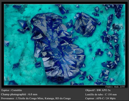Cornetite<br />L'Etoile du Congo Mine, Lubumbashi (Elizabethville), Katanga Copper Crescent, Haut-Katanga (Shaba), Democratic Republic of the Congo (Zaire)<br />fov 6 mm<br /> (Author: ploum)