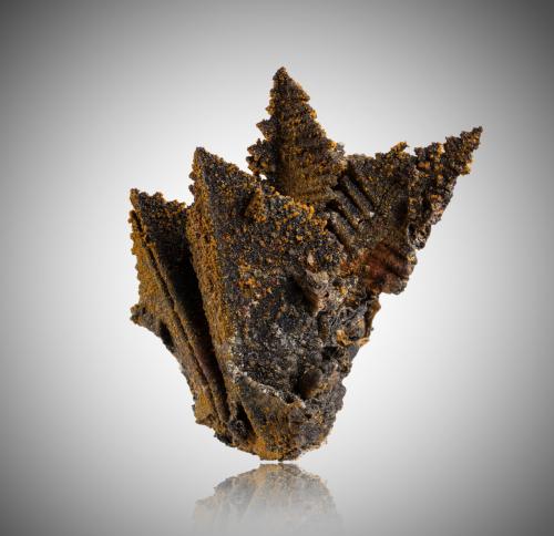 Descloizite with Wulfenite<br />Chah Milleh Mine, Chah Milleh, Anarak District, Nain, Isfahan Province, Iran<br />8,5	x	7,0	x	7,0	cm<br /> (Author: MIM Museum)
