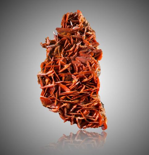 Wulfenite<br />Mina Jianshan, Ruoqiang, Prefectura Autónoma Bayin'gholin, Región Autónoma Uigur de Xinjiang, China<br />23,0	x	13,0	x	9,0	cm<br /> (Author: MIM Museum)