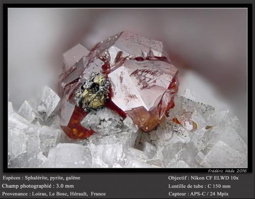 Sphalerite, Pyrite, Galena and Dolomite<br />Usclas-du-Bosc Quarry, Le Bosc, Lodève Canton, Lodève District, Hérault, Occitanie, France<br />fov 3.0 mm<br /> (Author: ploum)