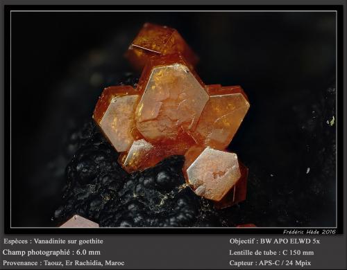 Vanadinite<br />Taouz, Provincia Er Rachidia, Región Drâa-Tafilalet, Marruecos<br />fov 6.0 mm<br /> (Author: ploum)