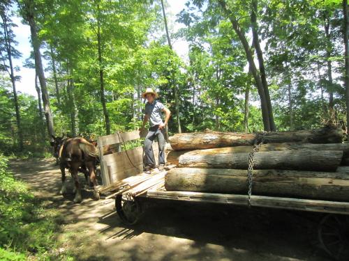 Hard working Amish youth with the second load. (Author: vic rzonca)