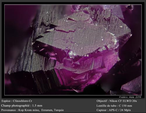 Clinochlore (chromian variety kämmererite)<br />Kop Krom Mine, Kop Daglari, Erzurum Province, Eastern Anatolia Region, Turkey<br />fov 1.5 mm<br /> (Author: ploum)