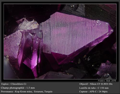 Chromian Clinochlore<br />Kop Krom Mine, Kop Daglari, Erzurum Province, Eastern Anatolia Region, Turkey<br />fov 1.5 mm<br /> (Author: ploum)