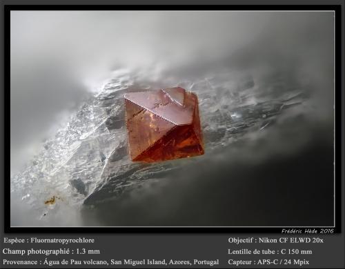 Fluornatropyrochlore<br />Volcán Água de Pau, Água de Pau, Municipio Lagoa, Isla San Miguel, Región Autónoma de las Azores, Portugal<br />fov 1.3 mm<br /> (Author: ploum)