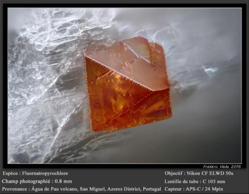 Fluornatropyrochlore<br />Volcán Água de Pau, Água de Pau, Municipio Lagoa, Isla San Miguel, Región Autónoma de las Azores, Portugal<br />fov 0.8 mm<br /> (Author: ploum)