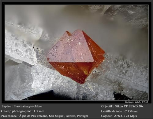 Fluornatropyrochlore<br />Volcán Água de Pau, Água de Pau, Municipio Lagoa, Isla San Miguel, Región Autónoma de las Azores, Portugal<br />fov 1.5 mm<br /> (Author: ploum)