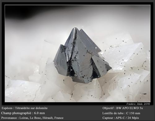 Tetrahedrite<br />Cantera Usclas-du-Bosc, Le Bosc, Cantón Lodève, Distrito Lodève, Hérault, Occitanie, Francia<br />fov 6.0 mm<br /> (Author: ploum)