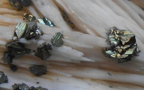 Calcopirita y Barita<br />Dreislar Mine, Dreislar, Winterberg, Sauerland, North Rhine-Westphalia/Nordrhein-Westfalen, Germany<br />6 x 5 x 3 cm<br /> (Autor: Antonio Alcaide)