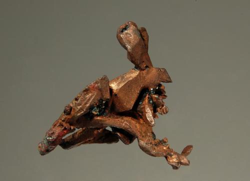 Copper<br />Adventure Mine, Greenland, Greenland Township, Ontonagon County, Michigan, USA<br />2.4 x 2.6 cm<br /> (Author: crosstimber)