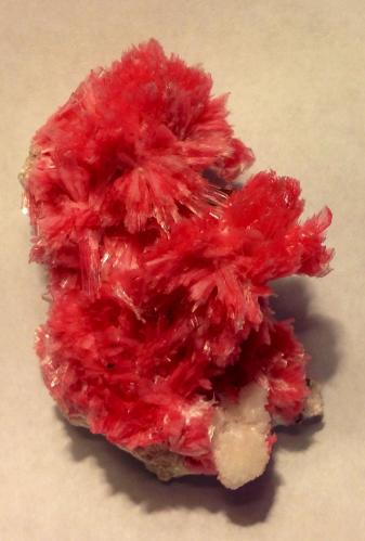 Rhodonite, Pyrrhotite<br />San Martín Mine, Chiurucu (Chiuruco), Huallanca District, Bolognesi Province, Ancash Department, Peru<br />5.5 cm<br /> (Author: JC)