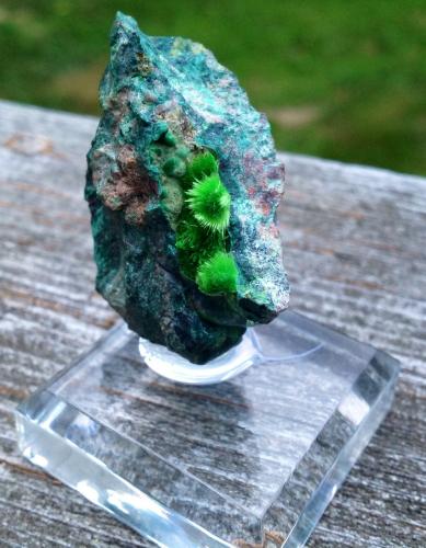 Cuprosklodowskite<br />Musonoi Mine, Kolwezi, Kolwezi District, Lualaba, Katanga Copper Crescent, Katanga (Shaba), Democratic Republic of the Congo (Zaire)<br />6 cm<br /> (Author: JC)