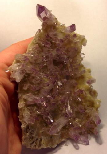 Quartz (variety amethyst )<br />Piedra Parada (Las Vigas), Municipio Tatatila, Veracruz (Veracruz de Ignacio de la Llave), Mexico<br />15 cm<br /> (Author: JC)