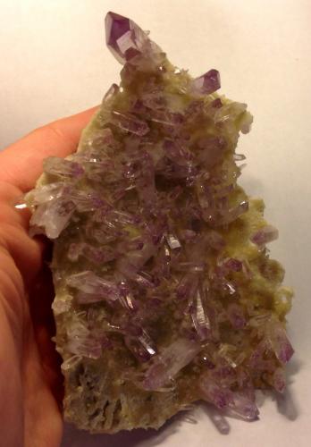 Quartz (variety amethyst )<br />Piedra Parada (Las Vigas), Municipio Tatatila, Veracruz (Veracruz de Ignacio de la Llave), México<br />15 cm<br /> (Author: JC)