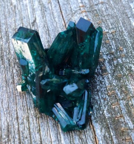 Dioptase<br />Christoph Mine, Kaokoveld Plateau, Kunene Region, Namibia<br />3.1 cm<br /> (Author: JC)