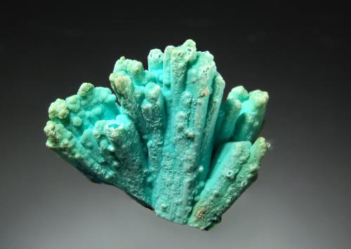 Chrysocolla<br />Ray Mines, Scott Mountain area, Mineral Creek District, Dripping Spring Mountains, Pinal County, Arizona, USA<br />1.9 x 2.1 cm<br /> (Author: crosstimber)