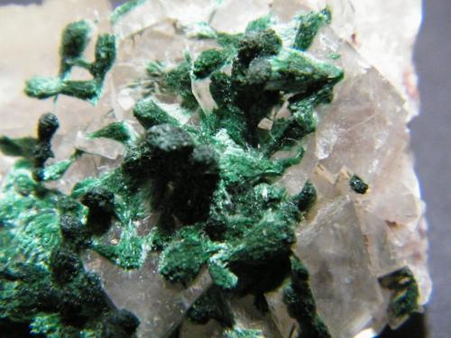 Malachite on Calcite<br />Tsumeb Mine, Tsumeb, Otjikoto Region, Namibia<br />35x35x15mm<br /> (Author: Heimo Hellwig)