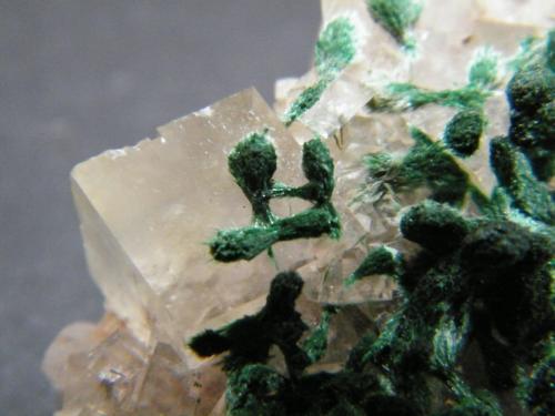 Malachite on Calcite<br />Tsumeb Mine, Tsumeb, Otjikoto Region, Namibia<br />35x35x15mm<br /> (Author: Heimo Hellwig)