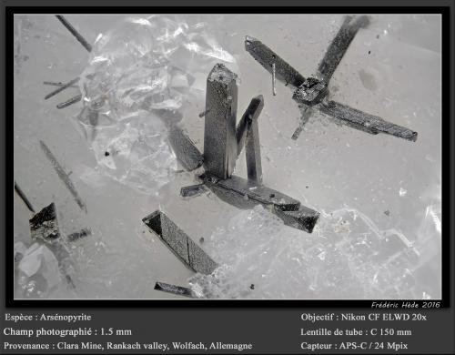 Arsenopyrite<br />Mina Clara, Valle Rankach, Oberwolfach, Wolfach, Selva Negra, Baden-Württemberg, Alemania<br />fov 1.5 mm<br /> (Author: ploum)