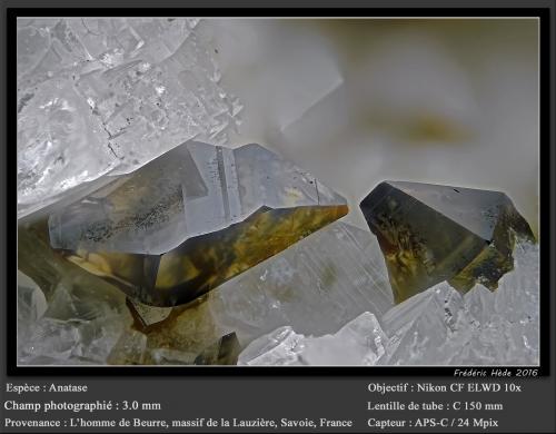 Anatase<br />L'Homme de Beurre, Macizo La Lauzière, Saint-Jean-de-Maurienne, Saboya, Auvergne-Rhône-Alpes, Francia<br />fov 3.0 mm<br /> (Author: ploum)