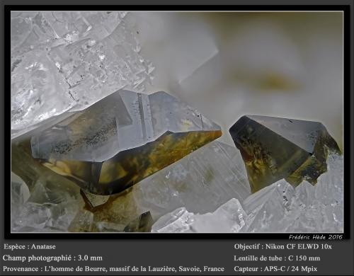 Anatase<br />L'Homme de Beurre, La Lauzière Massif, Saint-Jean-de-Maurienne, Savoie, Auvergne-Rhône-Alpes, France<br />fov 3.0 mm<br /> (Author: ploum)