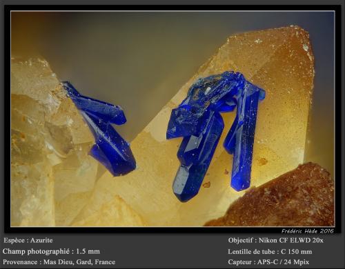 Azurite<br />Mas Dieu, Mercoirol, Alès, Gard, Occitanie, France<br />fov 1.5 mm<br /> (Author: ploum)