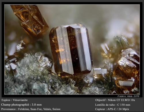 Vesuvianite<br />Felskinn, Glaciar Fee, Saas Fee, Valle Saas, Zermatt - Saas Fee, Wallis (Valais), Suiza<br />fov 3.0 mm<br /> (Author: ploum)