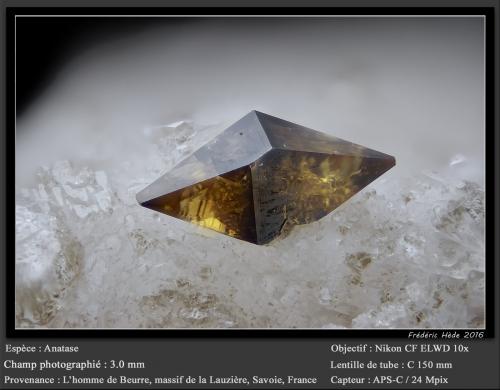 Anatase<br />L'Homme de Beurre, Macizo La Lauzière, Saint-Jean-de-Maurienne, Saboya, Auvergne-Rhône-Alpes, Francia<br />fov 3.0 mm<br /> (Author: ploum)