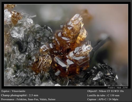 Vesuvianite<br />Felskinn, Glaciar Fee, Saas Fee, Valle Saas, Zermatt - Saas Fee, Wallis (Valais), Suiza<br />fov 2.5 mm<br /> (Author: ploum)