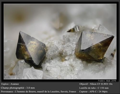 Anatase<br />L'Homme de Beurre, La Lauzière Massif, Saint-Jean-de-Maurienne, Savoie, Auvergne-Rhône-Alpes, France<br />fov 3.0 mm<br /> (Author: ploum)