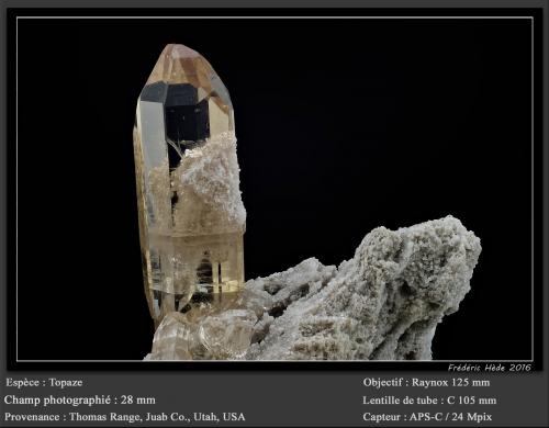 Topaz<br />Thomas Range, Juab County, Utah, USA<br />fov 28 mm<br /> (Author: ploum)