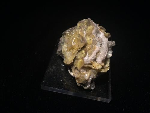 Wulfenite<br />Glove Mine, Glove Mine group, Devil's Cash Box Ridge, Cottonwood Canyon, Amado, Tyndall District, Santa Cruz County, Arizona, USA<br />55 X 40 X 30 mm<br /> (Author: Robert Seitz)