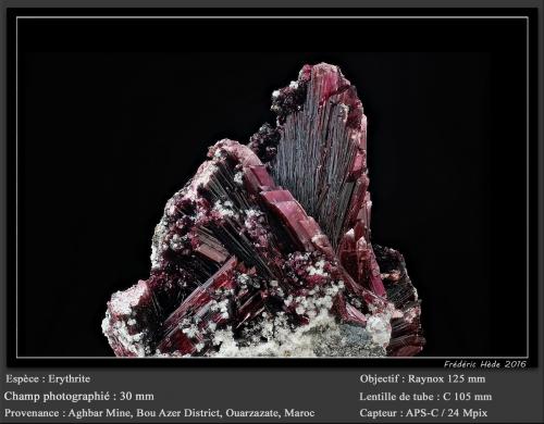 Erythrite<br />Mina Aghbar (Mina Arhbar), Distrito minero Bou Azzer, Provincia Zagora, Región Drâa-Tafilalet, Marruecos<br />fov 30 mm<br /> (Author: ploum)