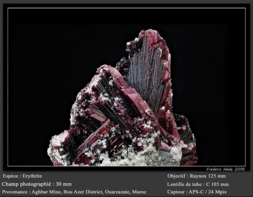 Erythrite<br />Aghbar Mine (Arhbar Mine), Bou Azzer mining district, Zagora Province, Drâa-Tafilalet Region, Morocco<br />fov 30 mm<br /> (Author: ploum)