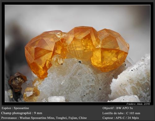 Garnet (Var : Spessartine)<br />Catas Spessartina Wushan, Tongbei, Yunxiao, Prefectura Zhangzhou, Provincia Fujian, China<br />fov 9.0 mm<br /> (Author: ploum)