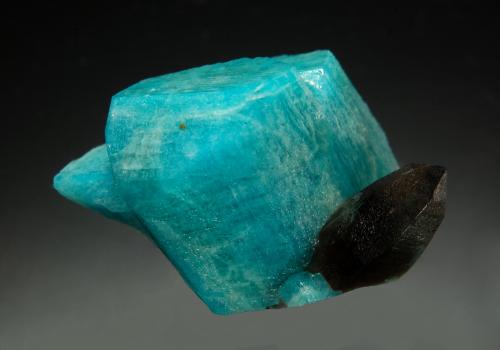 Microcline (variety amazonite)<br />Smoky Hawk claim, Crystal Peak area, Teller County, Colorado, USA<br />2.0 x 2.7 cm<br /> (Author: crosstimber)