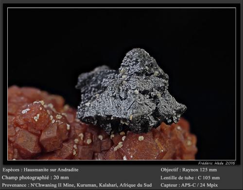 Hausmannite on Andradite<br />N'Chwaning II Mine, N'Chwaning mining area, Kuruman, Kalahari manganese field (KMF), Northern Cape Province, South Africa<br />fov 20 mm<br /> (Author: ploum)