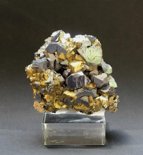 Galena and Chalcopyrite<br />Madan mining area, Rhodope Mountains, Smolyan Oblast, Bulgaria<br />65mm X 55mm x 30mm<br /> (Author: Philippe Durand)