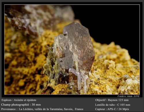 Axinite-(Fe) with Epidote<br />La Léchère (Notre Dame de Briançon), Tarentaise Valley, Moûtiers, Albertville, Savoie, Auvergne-Rhône-Alpes, France<br />fov 30 mm<br /> (Author: ploum)