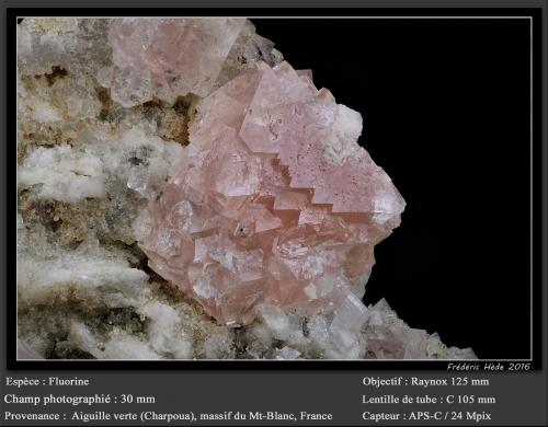 Fluorite<br />Aiguille Verte (lado La Charpoua), Mont Blanc, Chamonix, Haute-Savoie, Auvergne-Rhône-Alpes, Francia<br />fov 30 mm<br /> (Author: ploum)