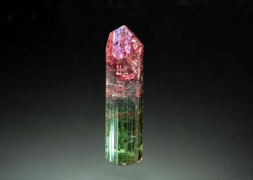 Elbaite<br />Cruzeiro Mine, Santa Maria do Suaçui, Governador Valadares, Vale do Rio Doce, Minas Gerais, Brazil<br />0.7 x 2.6 cm<br /> (Author: crosstimber)