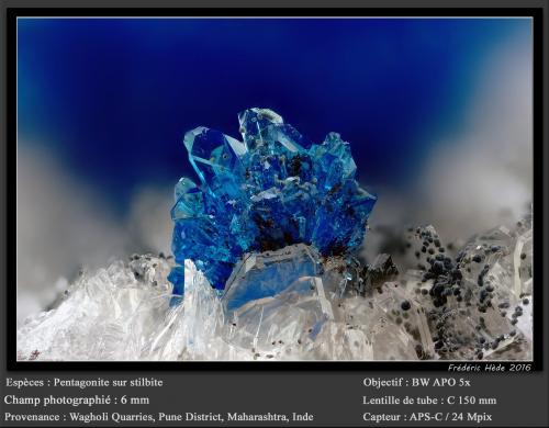 Pentagonite on Stilbite<br />Wagholi Quarry, Wagholi, Pune District (Poonah District), Maharashtra, India<br />fov 6.0 mm<br /> (Author: ploum)