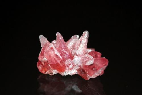 Rhodochrosite<br />Distrito Santa Eulalia, Municipio Aquiles Serdán, Chihuahua, México<br />2.7 cm x 1.6 cm<br /> (Author: Don Lum)