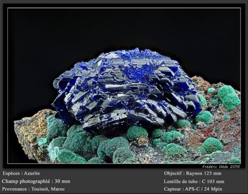 Azurite<br />Touissit, Touissit District, Jerada Province, Oriental Region, Morocco<br />fov 30 mm<br /> (Author: ploum)