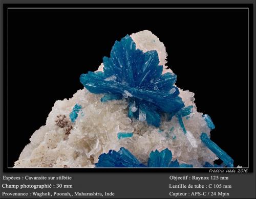 Cavansite<br />Wagholi Quarry, Wagholi, Pune District (Poonah District), Maharashtra, India<br />fov 30 mm<br /> (Author: ploum)