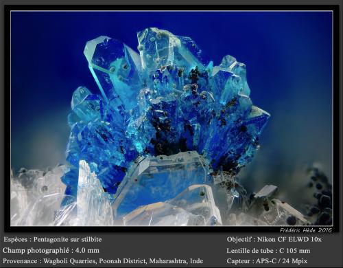 Pentagonite on Stilbite<br />Wagholi Quarry, Wagholi, Pune District (Poonah District), Maharashtra, India<br />fov 4.0 mm<br /> (Author: ploum)