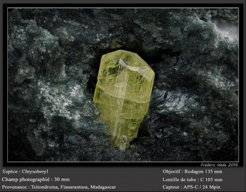 Chrysoberyl<br />Tsitondroina, Ikalamavony District, Haute Matsiatra Region, Madagascar<br />fov 30 mm<br /> (Author: ploum)