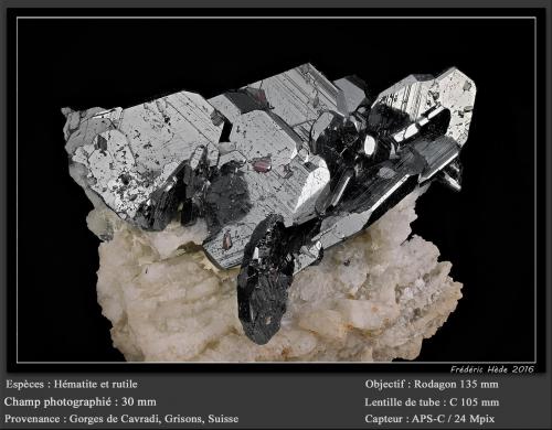 Hematite with rutile<br />Cavradi, Curnera Valley, Tujetsch (Tavetsch), Vorderrhein Valley, Grischun (Grisons; Graubünden), Switzerland<br />fpv 30 mm<br /> (Author: ploum)