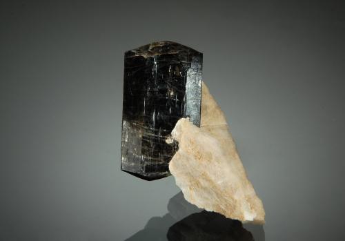 Fluoro-richterite<br />Essonville roadcut, Monmouth Township, Haliburton County, Ontario, Canada<br />2.0 x 2.5 cm<br /> (Author: crosstimber)